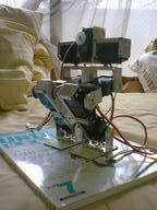 dsc00010-ss.jpg